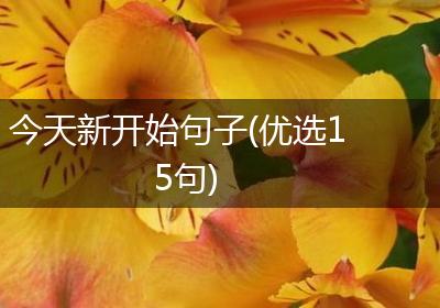 今天新开始句子(优选15句)