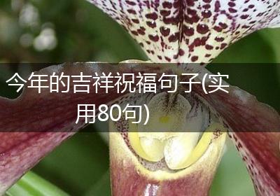 今年的吉祥祝福句子(实用80句)