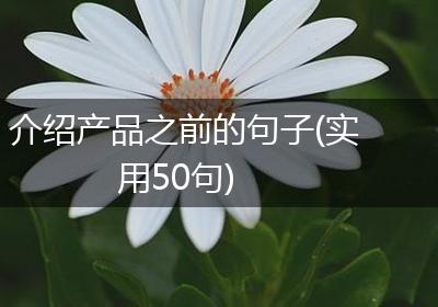 介绍产品之前的句子(实用50句)