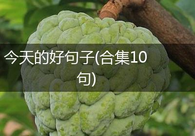 今天的好句子(合集10句)