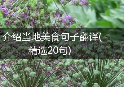 介绍当地美食句子翻译(精选20句)