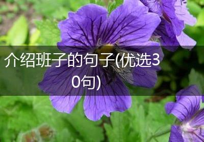 介绍班子的句子(优选30句)