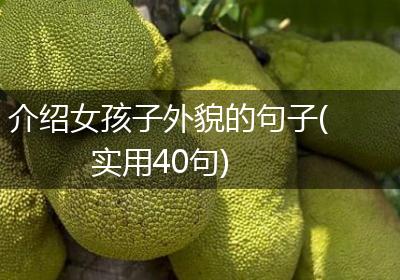介绍女孩子外貌的句子(实用40句)