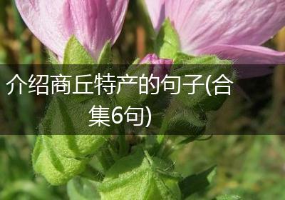 介绍商丘特产的句子(合集6句)