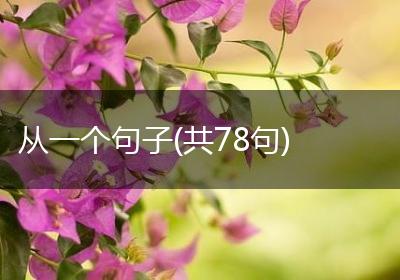 从一个句子(共78句)