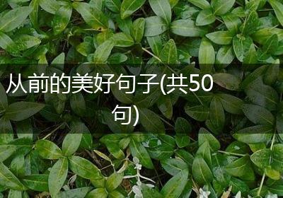 从前的美好句子(共50句)