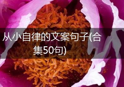 从小自律的文案句子(合集50句)