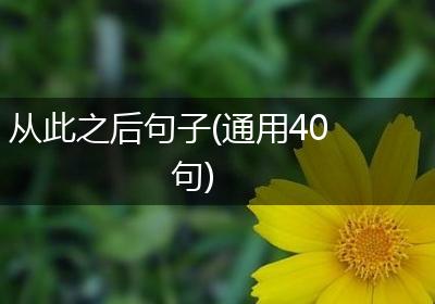 从此之后句子(通用40句)
