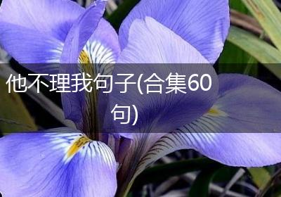 他不理我句子(合集60句)