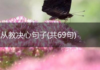 从教决心句子(共69句)