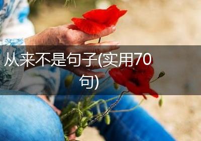 从来不是句子(实用70句)