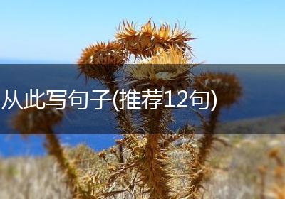 从此写句子(推荐12句)