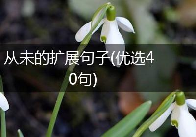 从未的扩展句子(优选40句)