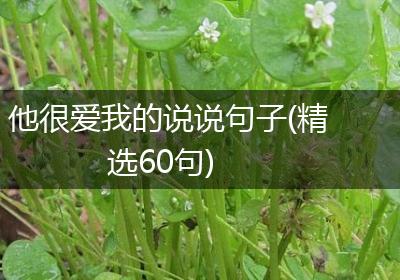 他很爱我的说说句子(精选60句)