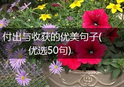 付出与收获的优美句子(优选50句)
