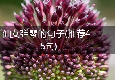 仙女弹琴的句子(推荐45句)