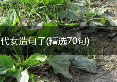 代女造句子(精选70句)