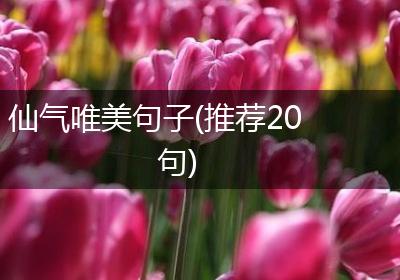 仙气唯美句子(推荐20句)