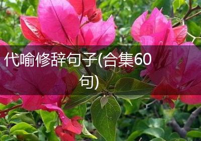 代喻修辞句子(合集60句)