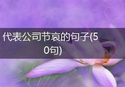 代表公司节哀的句子(50句)