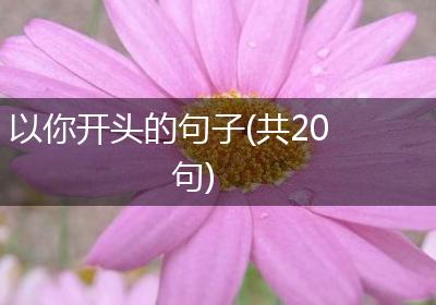 以你开头的句子(共20句)