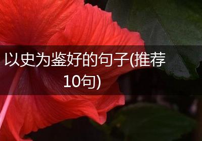 以史为鉴好的句子(推荐10句)