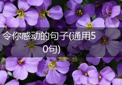 令你感动的句子(通用50句)