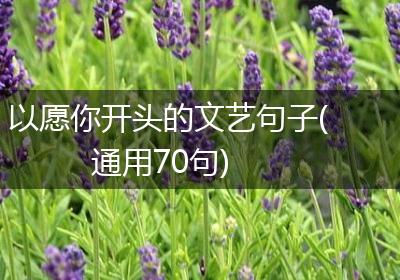 以愿你开头的文艺句子(通用70句)