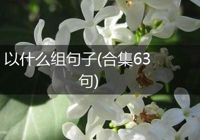 以什么组句子(合集63句)