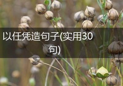 以任凭造句子(实用30句)