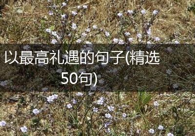 以最高礼遇的句子(精选50句)
