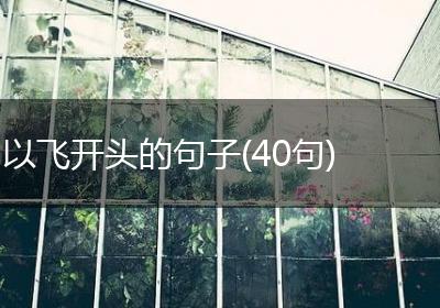 以飞开头的句子(40句)