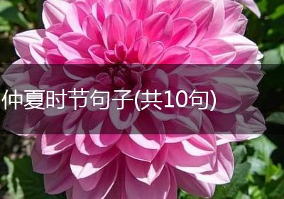 仲夏时节句子(共10句)