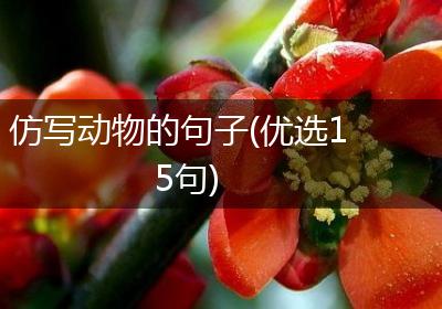 仿写动物的句子(优选15句)