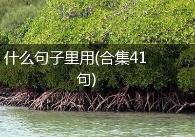 什么句子里用(合集41句)