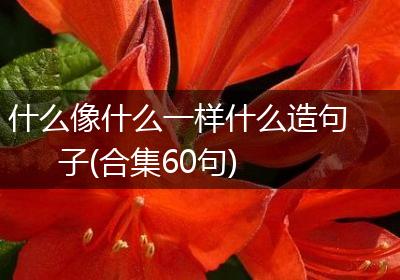 什么像什么一样什么造句子(合集60句)