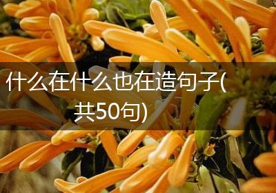 什么在什么也在造句子(共50句)