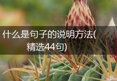 什么是句子的说明方法(精选44句)