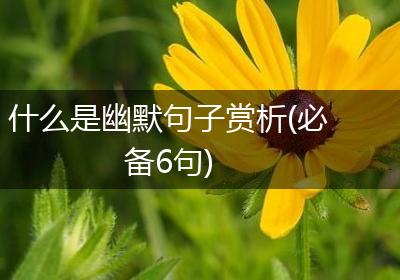 什么是幽默句子赏析(必备6句)