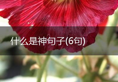 什么是神句子(6句)