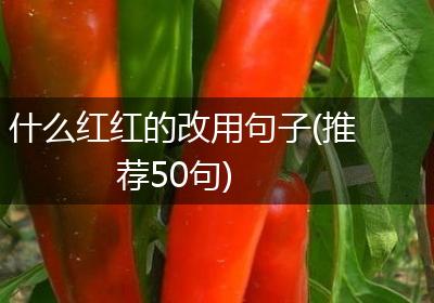 什么红红的改用句子(推荐50句)