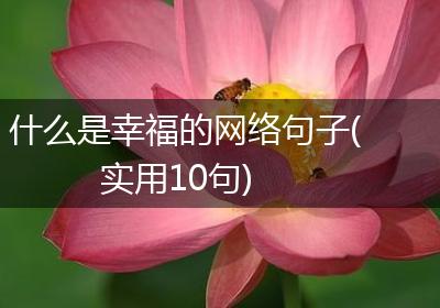 什么是幸福的网络句子(实用10句)