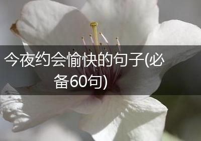 今夜约会愉快的句子(必备60句)