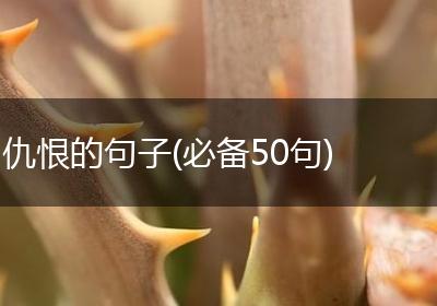 仇恨的句子(必备50句)