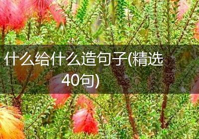什么给什么造句子(精选40句)