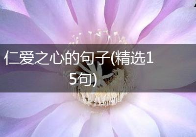仁爱之心的句子(精选15句)