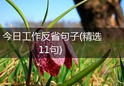 今日工作反省句子(精选11句)