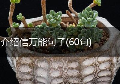 介绍信万能句子(60句)