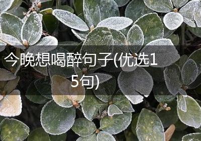 今晚想喝醉句子(优选15句)
