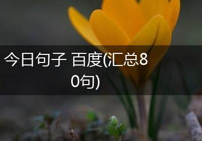 今日句子 百度(汇总80句)